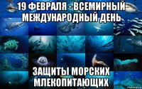 19 февраля - всемирный международный день защиты морских млекопитающих