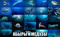  абыры и медузы