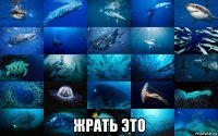  жрать это