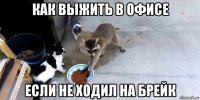 как выжить в офисе если не ходил на брейк