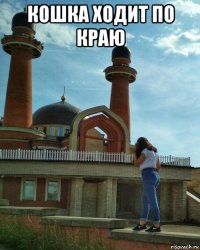 кошка ходит по краю 