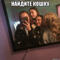 найдите кошку 