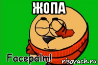 жопа 