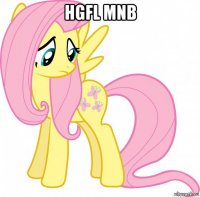 hgfl mnb 