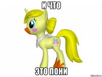 и что это пони