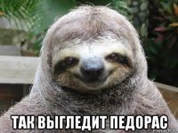  так выгледит педорас