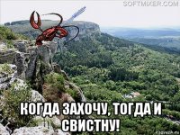  когда захочу, тогда и свистну!