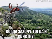  когда захочу, тогда и свистну!