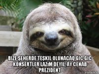 bize şeherde teşkil olunacaq gic gic konsertler lazım deyil, ay cenab prezident