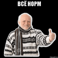 всё норм 