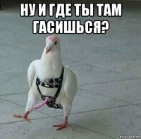 ну и где ты там гасишься? 