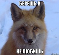 берешь и не любишь
