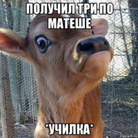 получил три по матеше *училка*