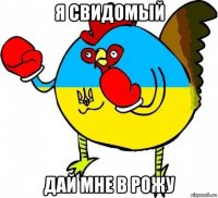 я свидомый дай мне в рожу