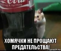  хомячки не прощают предательства!
