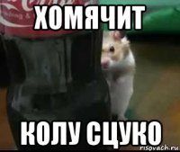 хомячит колу сцуко