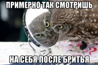 примерно так смотришь на себя после бритья