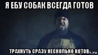 я ебу собак всегда готов трахнуть сразу несколько котов