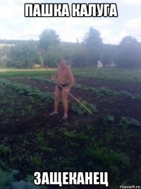 пашка калуга защеканец