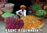  я ашис, я ещё живой !!!