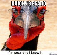клюну в ебало 