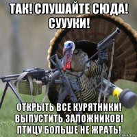так! слушайте сюда! суууки! открыть все курятники! выпустить заложников! птицу больше не жрать!