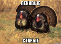 ленивые старые