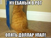 ну ёбаный в рот опять доллар упал!