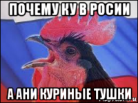 почему ку в росии а ани куриные тушки