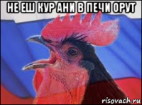 не еш кур ани в печи орут 