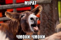 мурат чмоки, чмоки