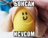 бонсаи исусом