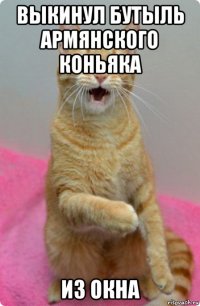 выкинул бутыль армянского коньяка из окна