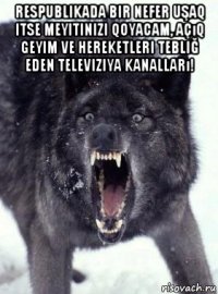 respublikada bir nefer uşaq itse meyitinizi qoyacam, açıq geyim ve hereketleri tebliğ eden televiziya kanalları! 