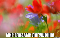  мир глазами лягушонка