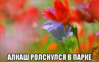  алкаш ролснулся в парке