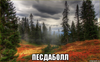  песдаболл