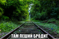  там леший бродит