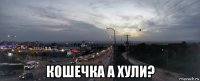  кошечка а хули?