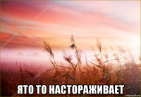  ято то настораживает