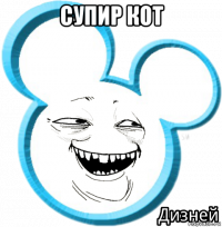 супир кот 