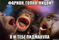 фарион, гопко, ницой я ж тебе пидманула