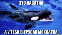 это касатка а у тебя в трусах мохнатка
