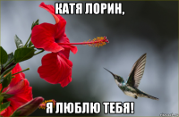 катя лорин, я люблю тебя!