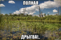 полная дрыгва!..