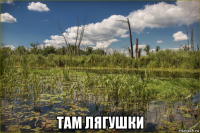  там лягушки