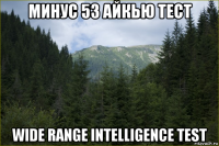 минус 53 айкью тест wide range intelligence test