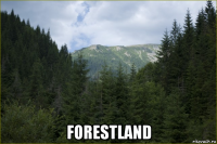  forestland