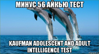 минус 56 айкью тест kaufman adolescent and adult intelligence test