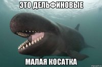 это дельфиновые малая косатка